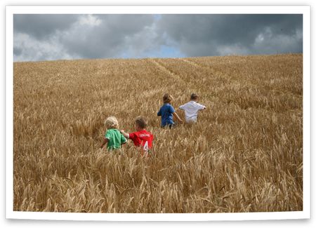 Boys in wheat field - blog