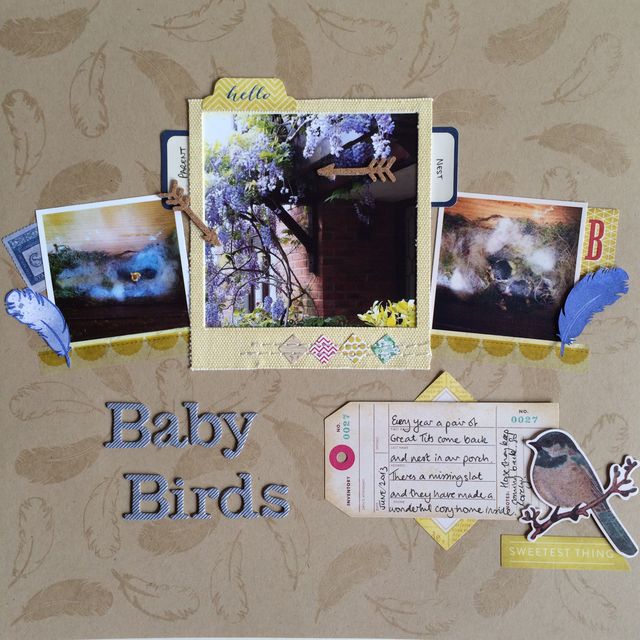 GSM Issue 6 Baby Birds